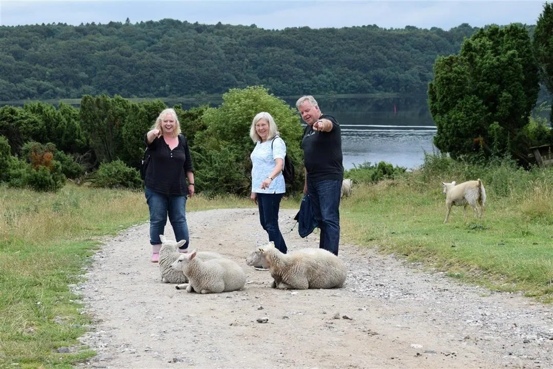 G21.5  bramslev bakker to hobro walk along mariager fjord (5)